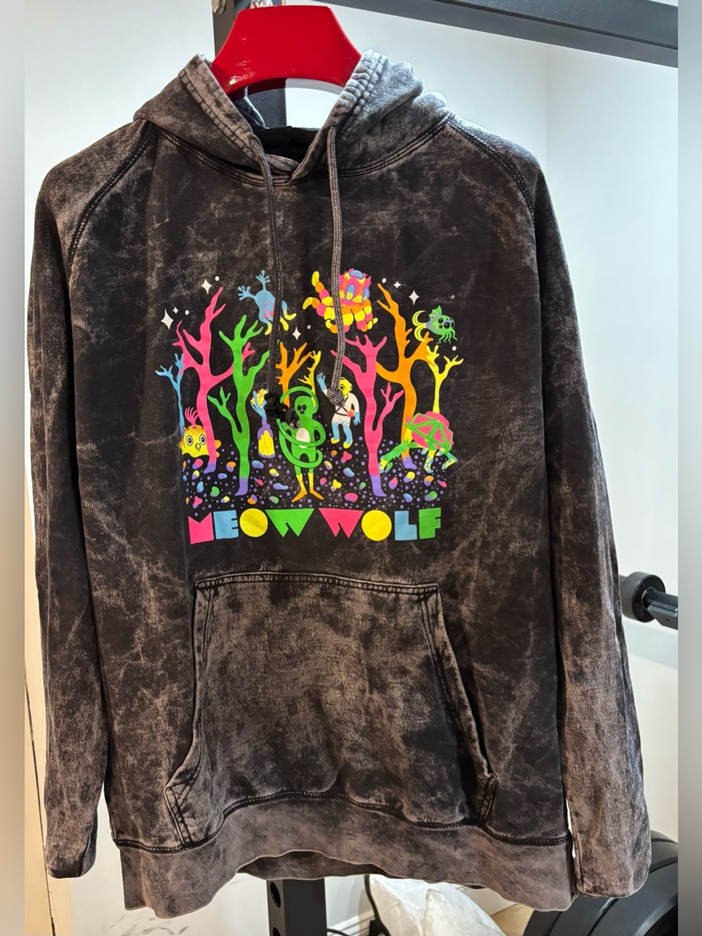 Meow Wolf Men's Acid Wash Hoodie with Neon Forest Graphic eternal friends